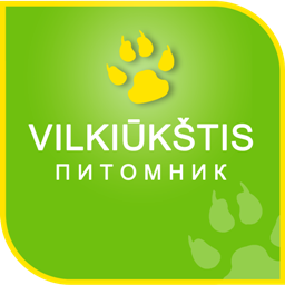 Vilkiūkštis