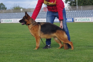 IMGP4183